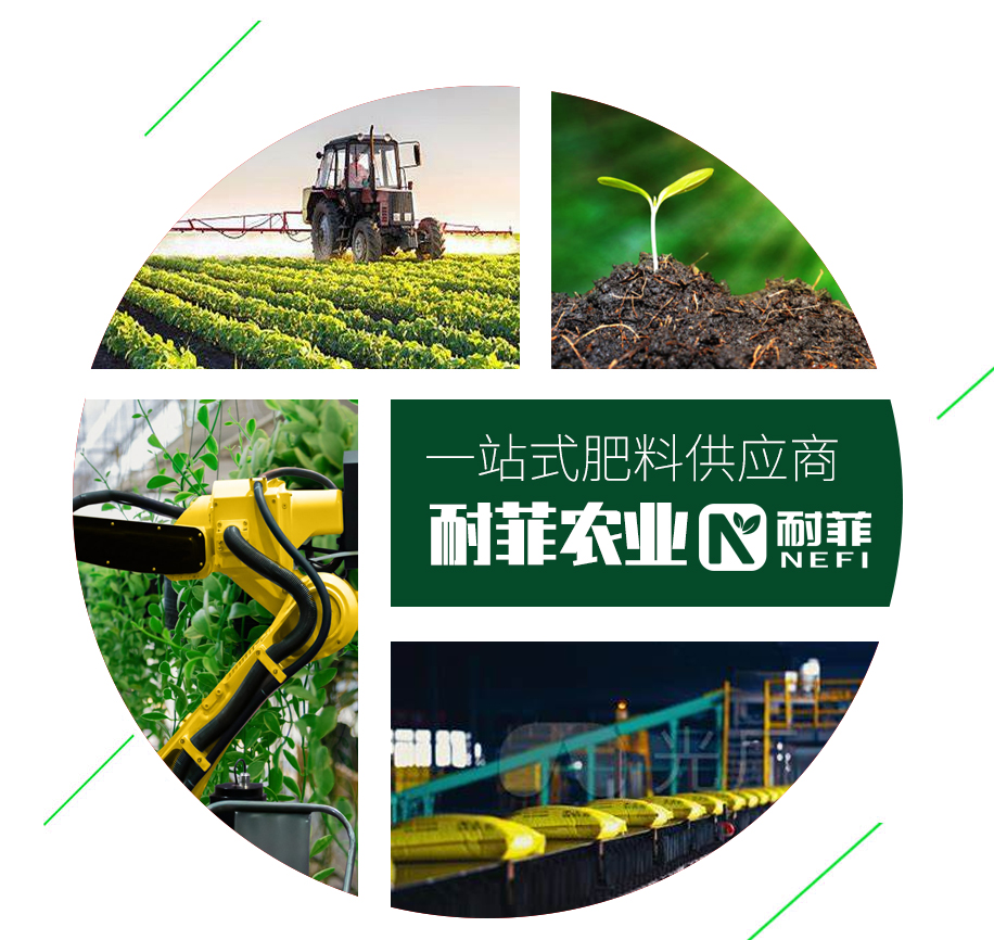 耐菲農業科技發展（山東）有限公司
